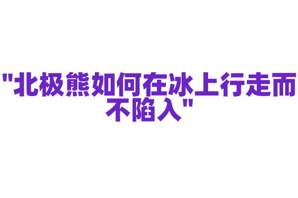 "北极熊如何在冰上行走而不陷入"